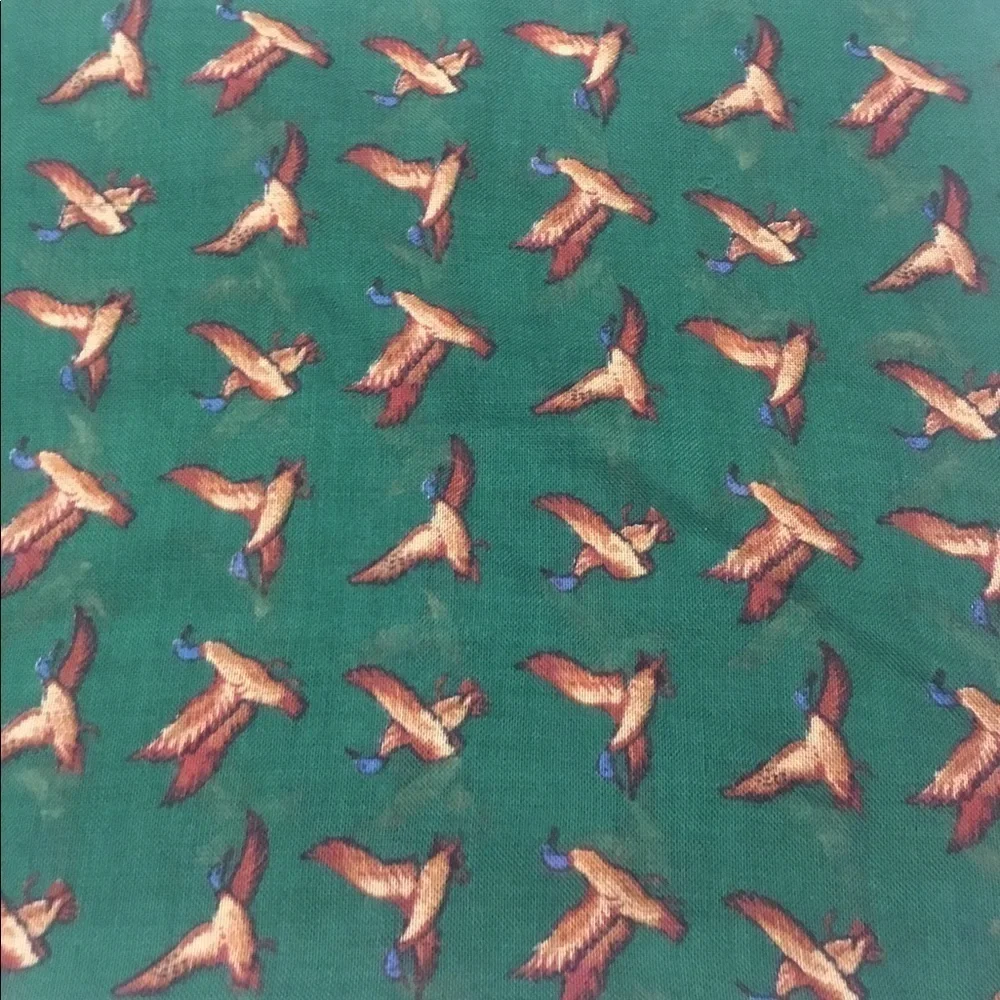 Nordstrom Green Scarf with Brown & Blue Duck Print